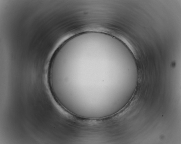 X0000103421139200809121006