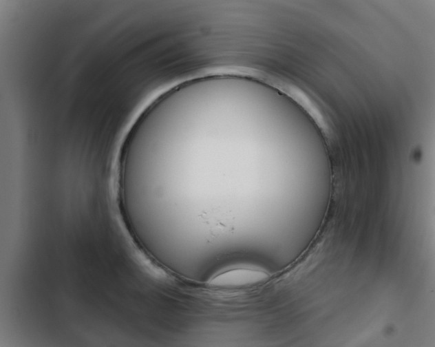 X0000103421140200809121006
