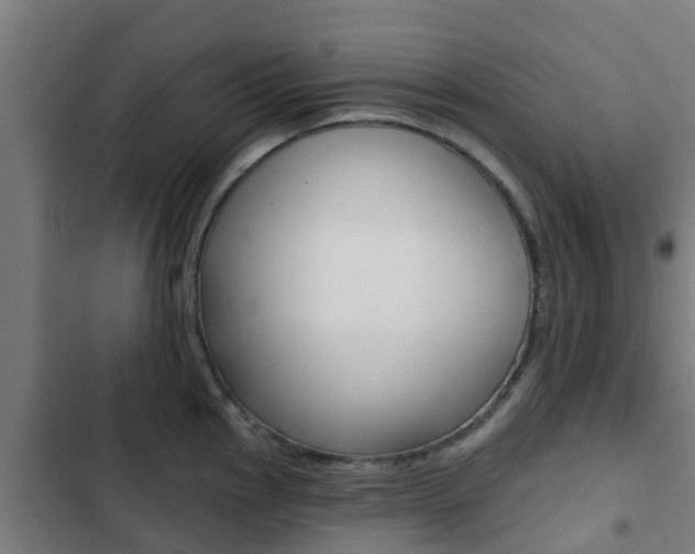 X0000103421145200809121006