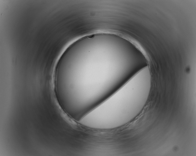 X0000103421148200809121006