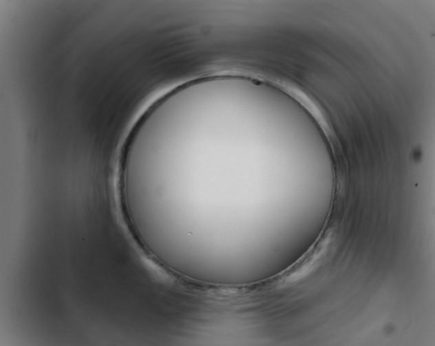 X0000103421149200809121006