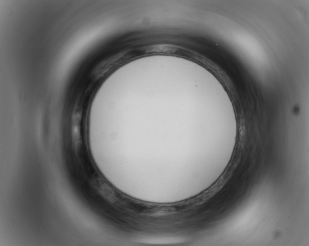 X0000103421150200809121006