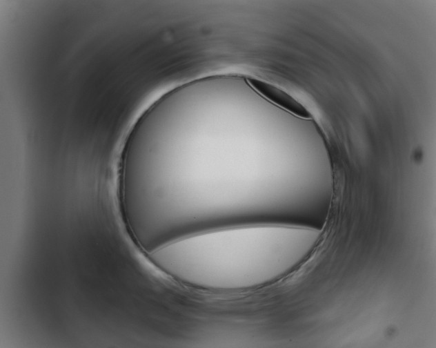 X0000103421151200809121006