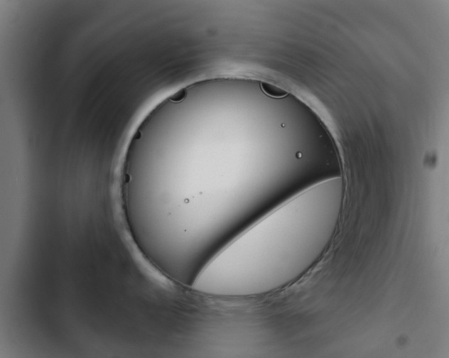 X0000103421152200809121006