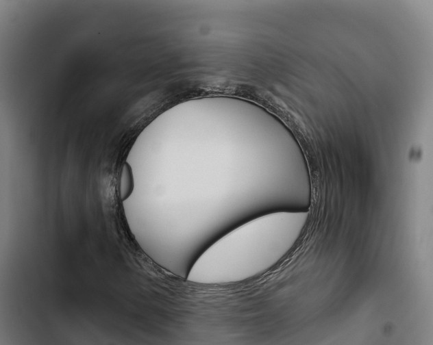 X0000103421154200809121006