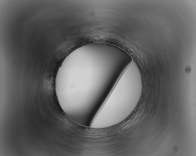 X0000103421156200809121006