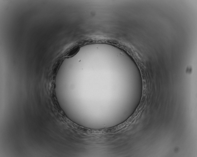 X0000103421157200809121006