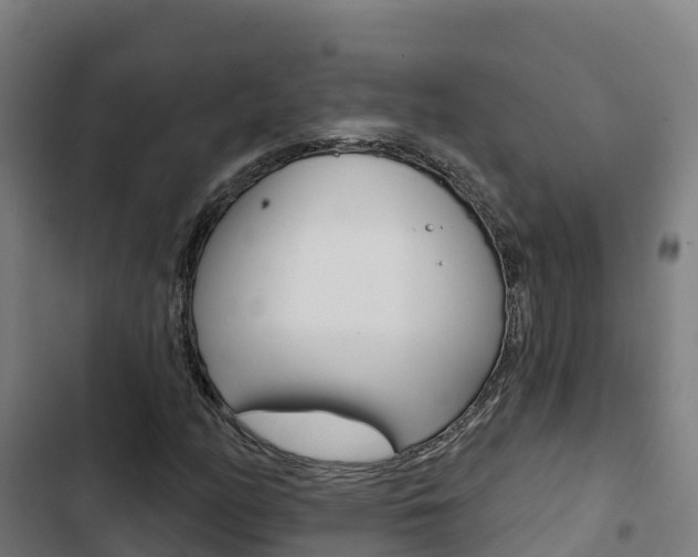 X0000103421158200809121006