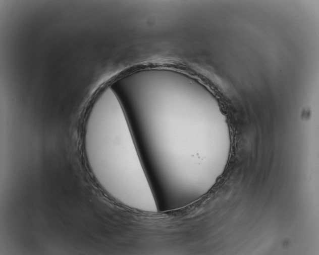 X0000103421160200809121006