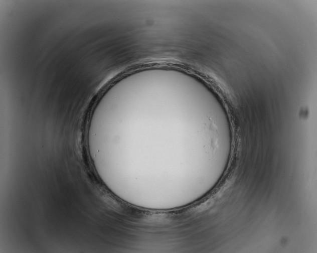 X0000103421162200809121006