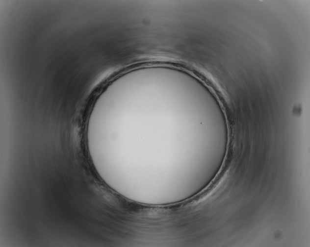 X0000103421163200809121005