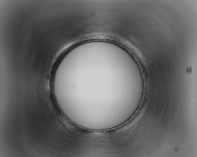 X0000103421166200809121005