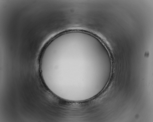 X0000103421167200809121005