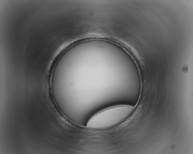 X0000103421168200809121005