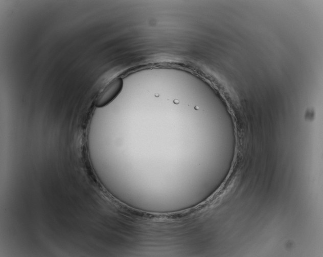 X0000103421169200809121005