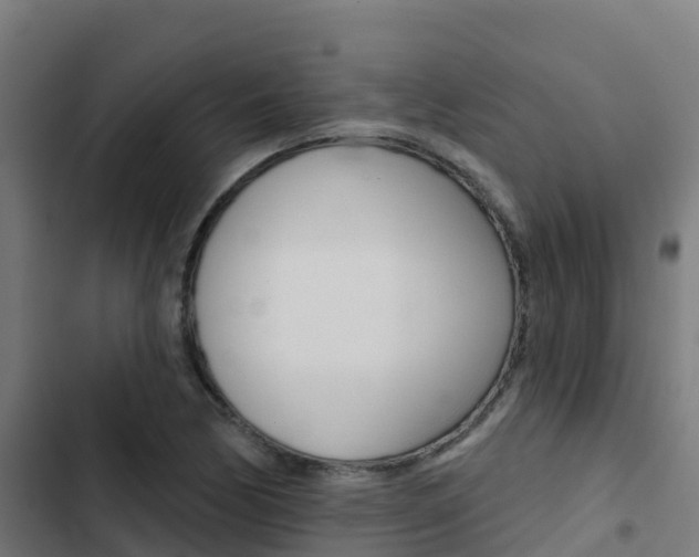 X0000103421170200809121005