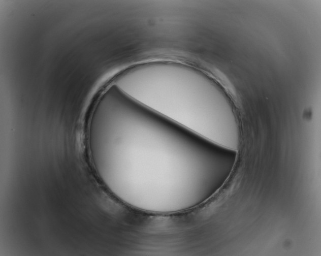X0000103421172200809121005