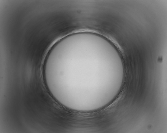 X0000103421173200809121005