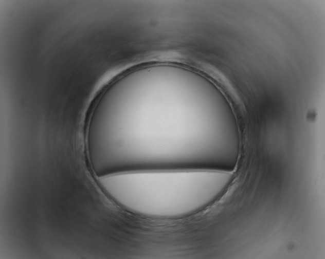 X0000103421176200809121005