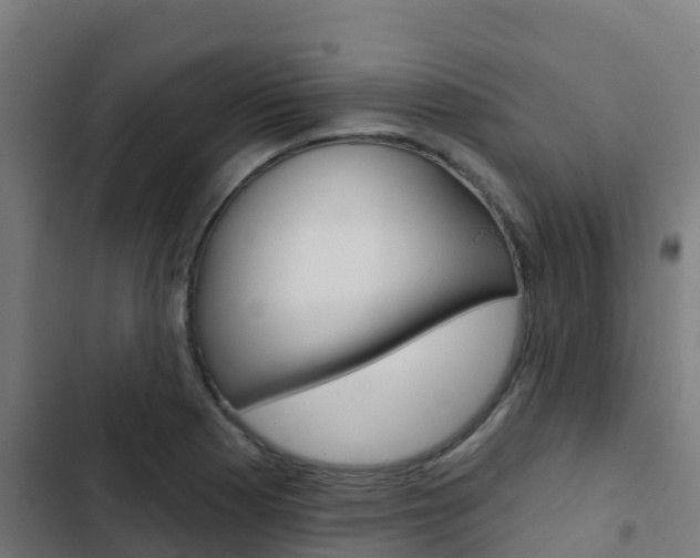 X0000103421177200809121005