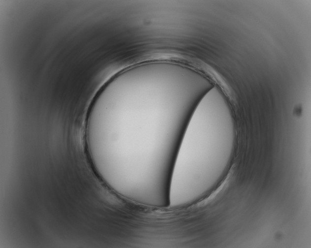 X0000103421178200809121005