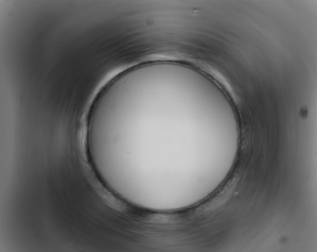 X0000103421179200809121005