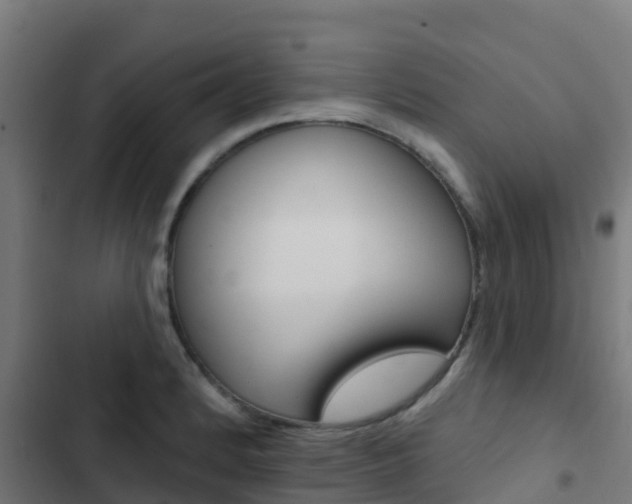X0000103421184200809121005