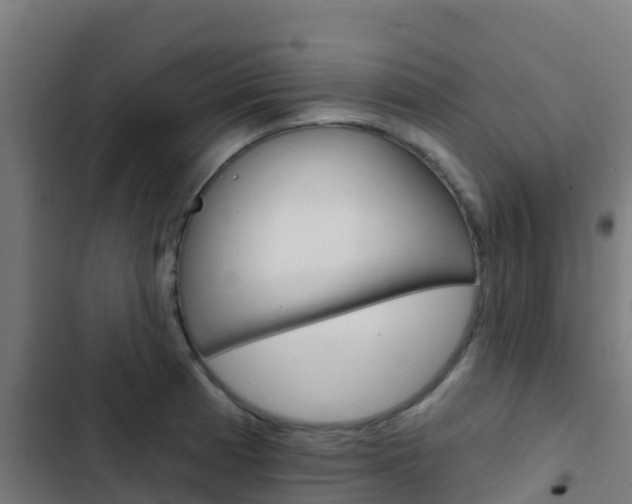 X0000103421185200809121005