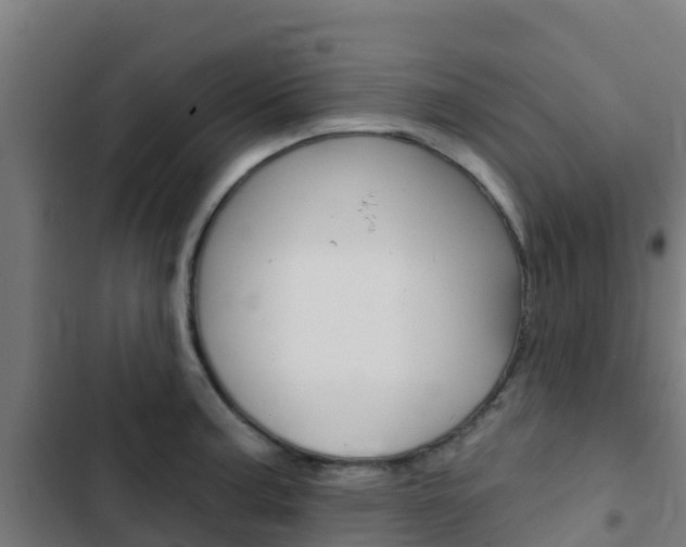 X0000103421187200809121005
