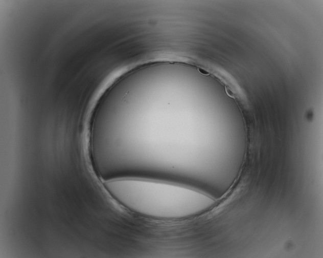 X0000103421188200809121005