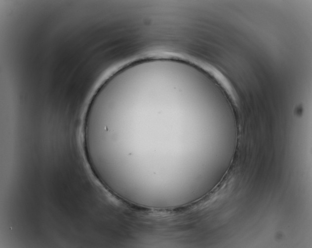 X0000103421191200809121005