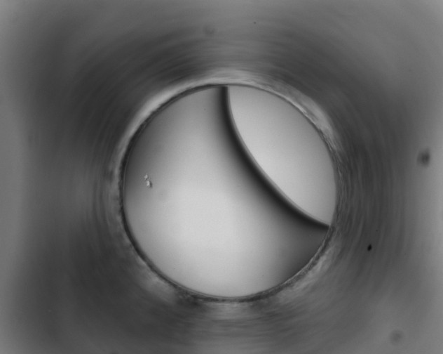 X0000103421192200809121005