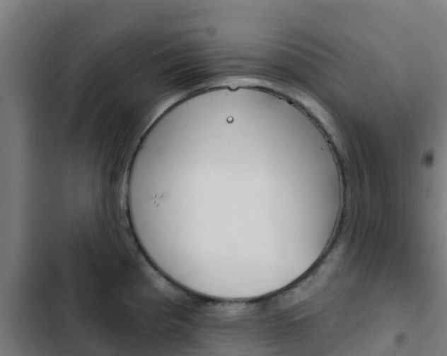X0000103421193200809121005