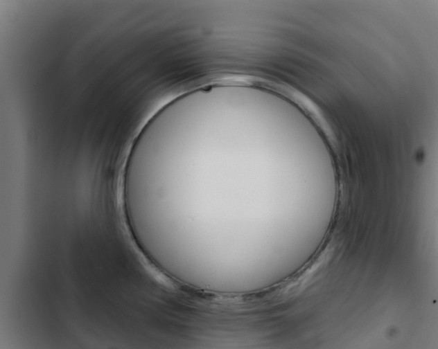 X0000103421194200809121005