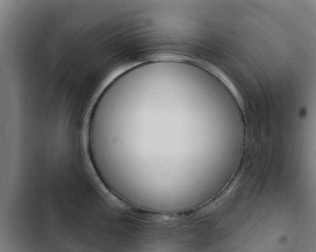 X0000103421195200809121005