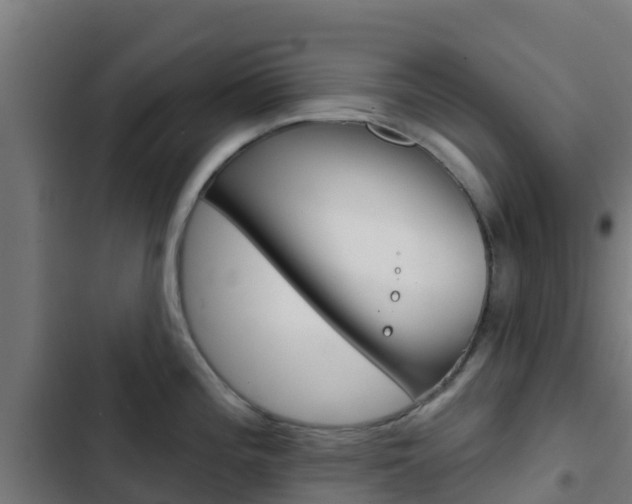 X0000103421196200809121005
