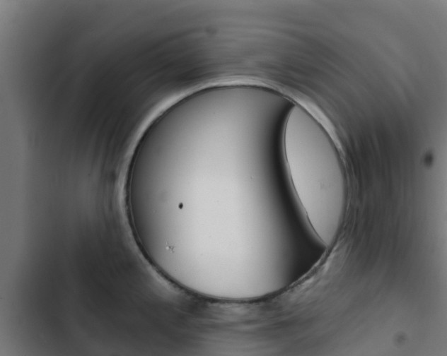 X0000103421197200809121005