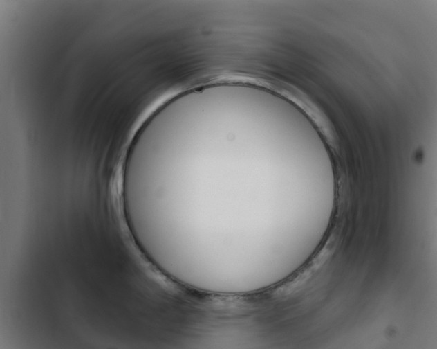 X0000103421198200809121005