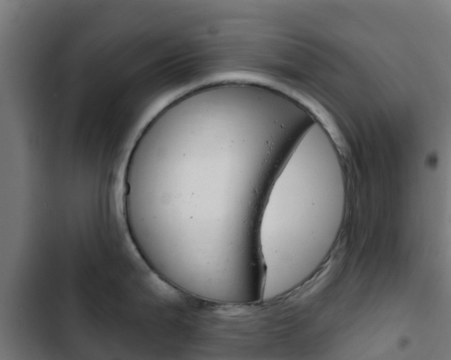 X0000103421199200809121005