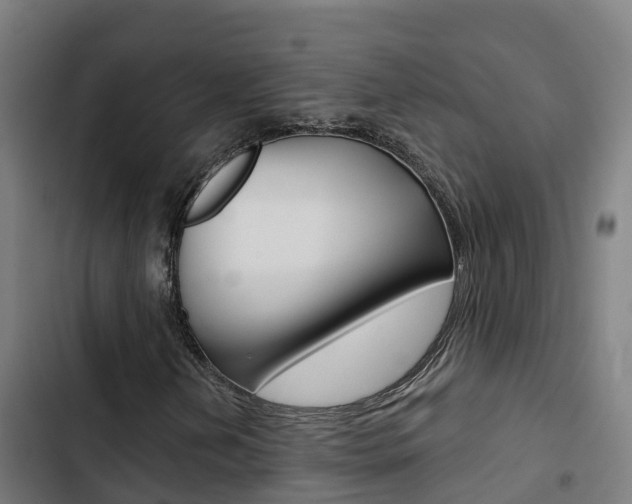 X0000103421202200809121004