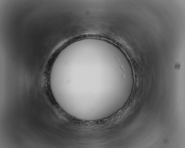 X0000103421208200809121004
