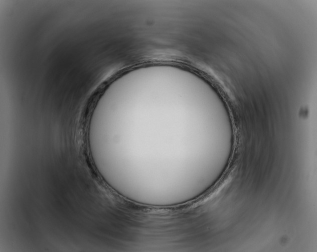 X0000103421211200809121004