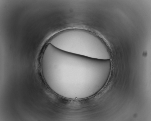 X0000103421215200809121005