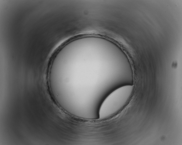X0000103421216200809121005