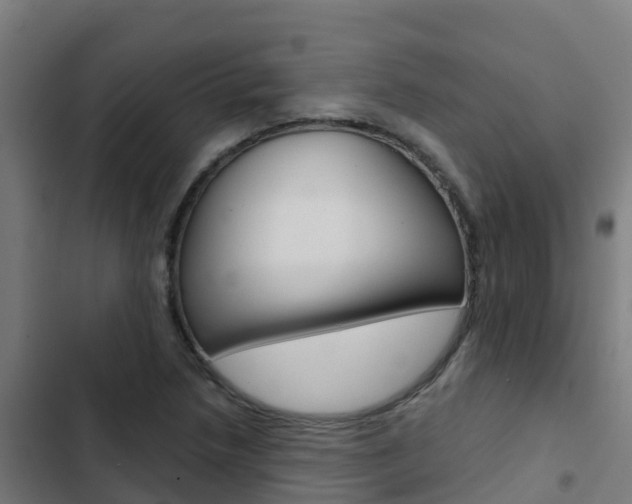 X0000103421218200809121005