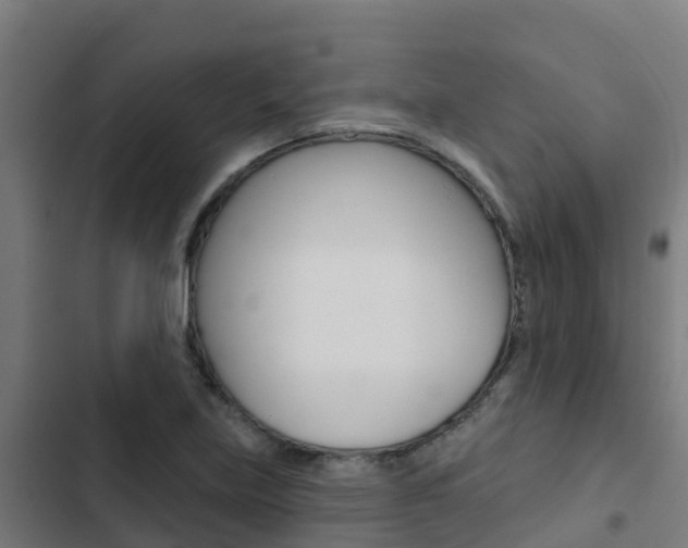 X0000103421219200809121005