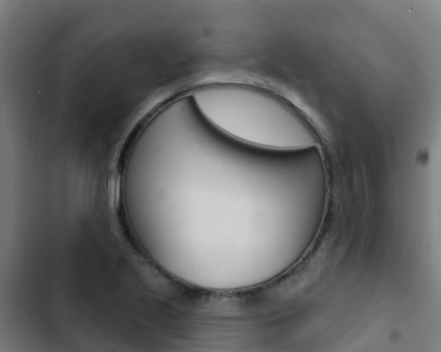X0000103421221200809121005
