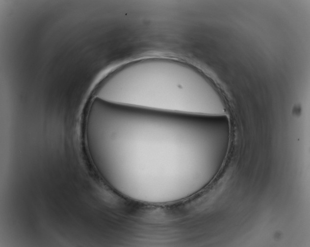 X0000103421222200809121005
