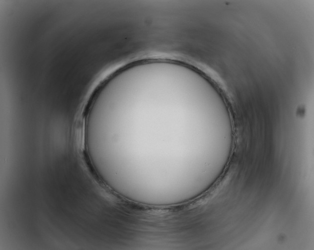 X0000103421223200809121005