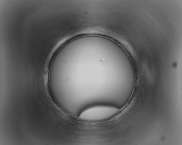 X0000103421224200809121005